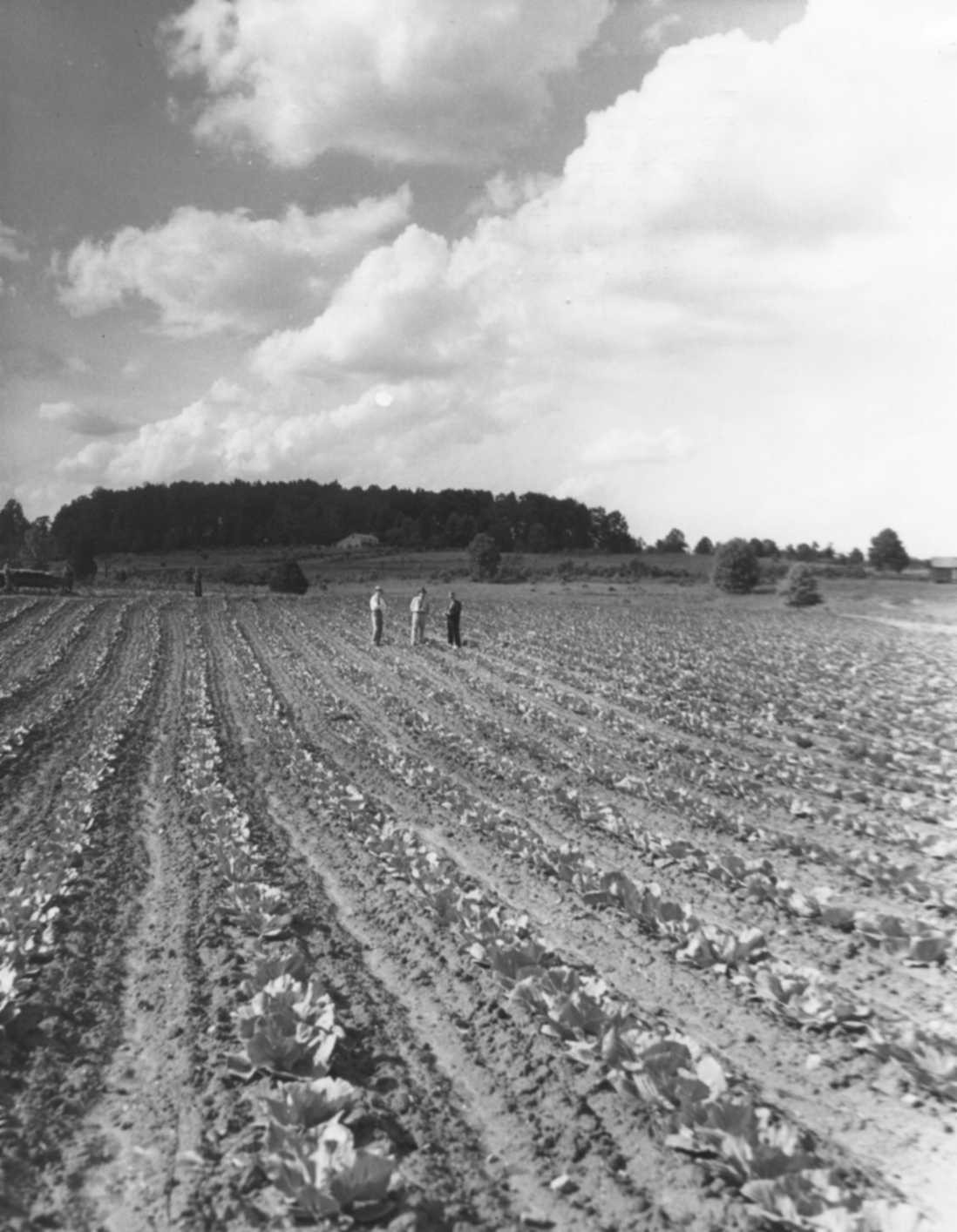 tennessee-state-library-and-archives-photograph-and-image-search