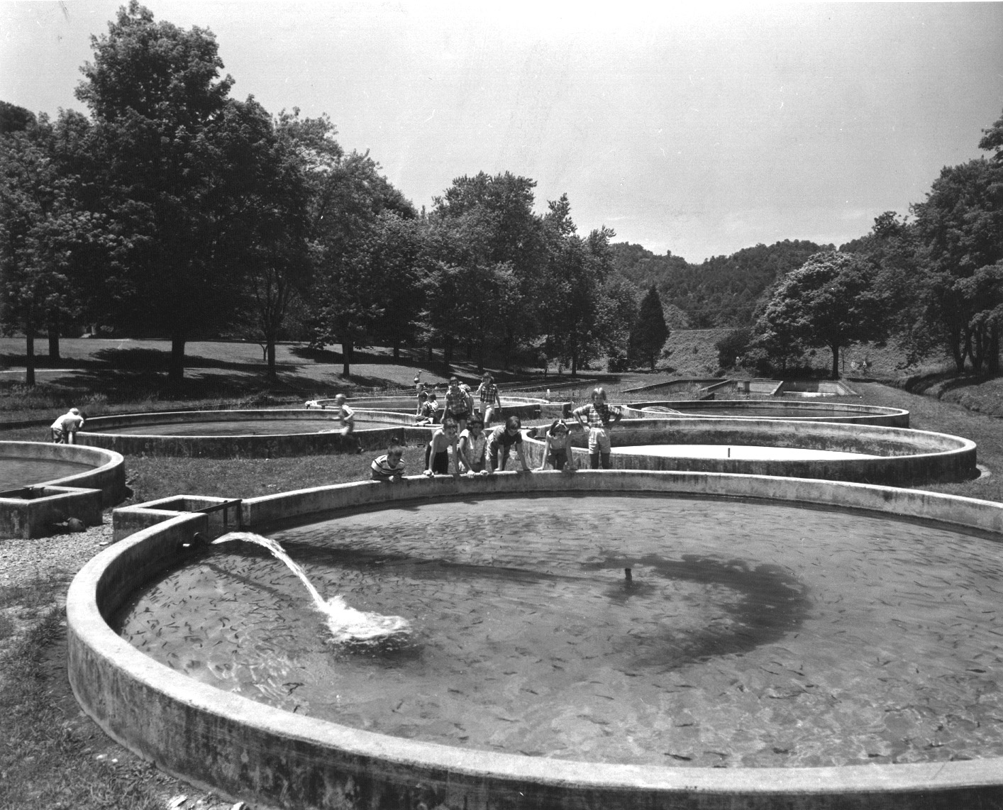 tennessee-state-library-and-archives-photograph-and-image-search