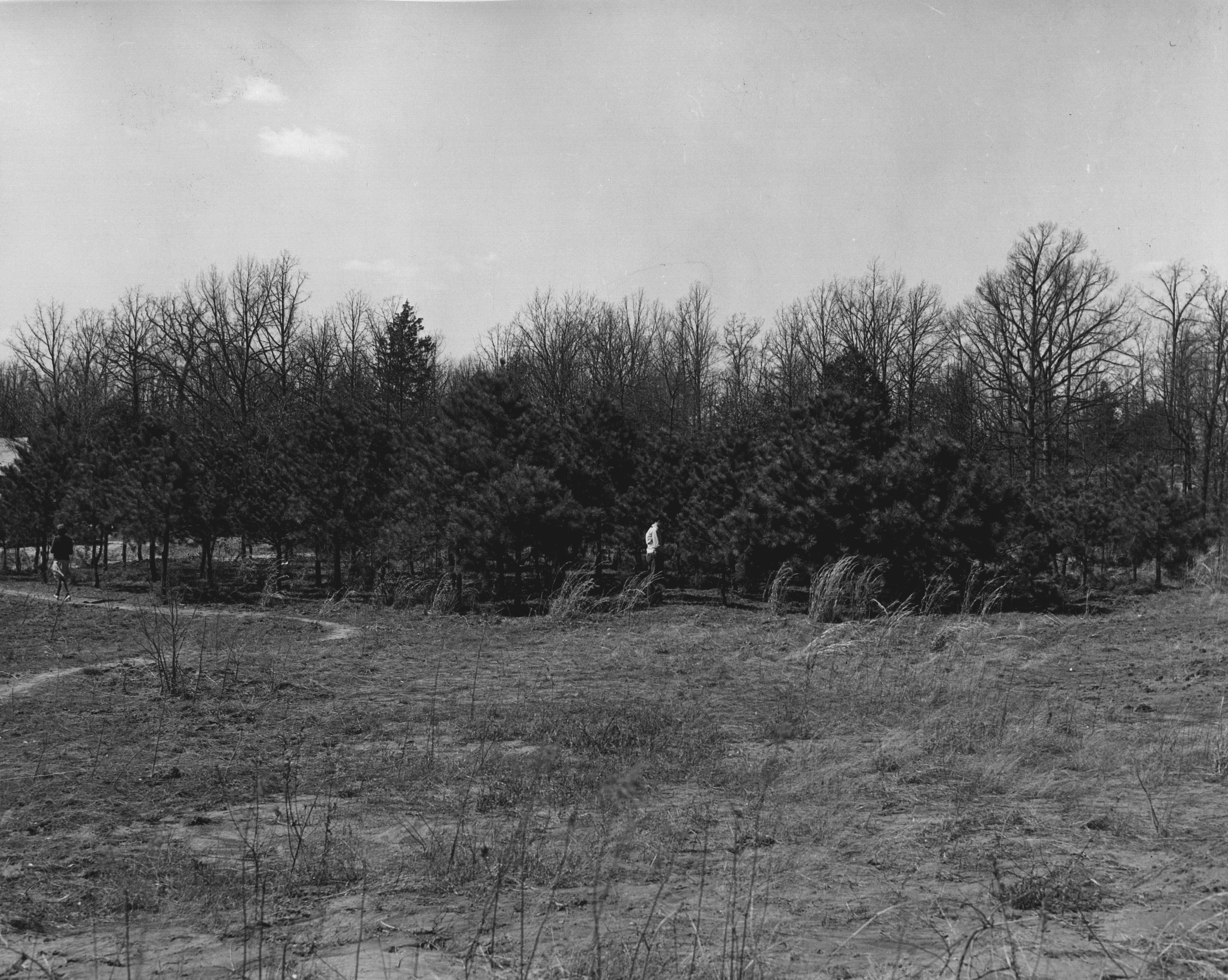 tennessee-state-library-and-archives-photograph-and-image-search