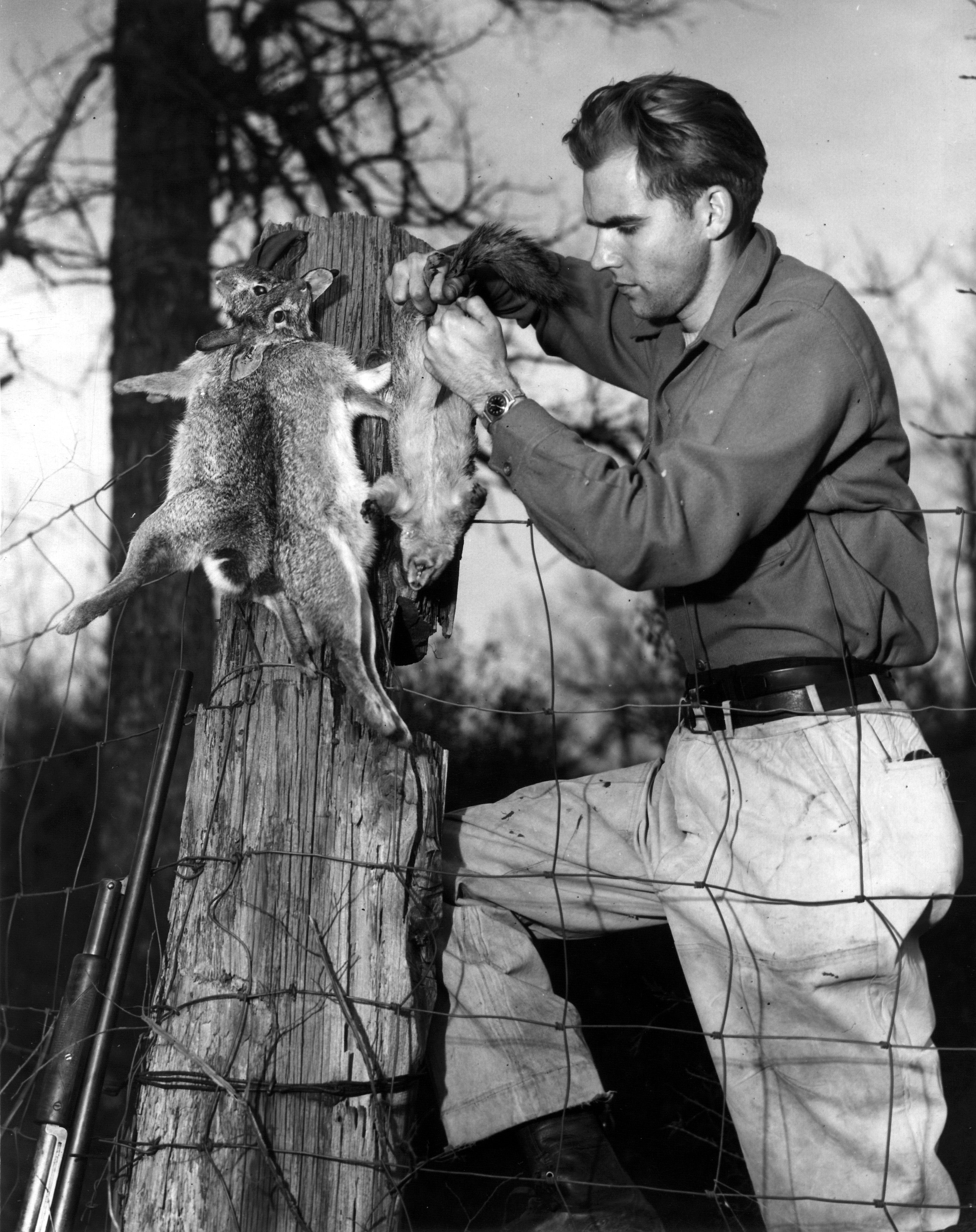 tennessee-state-library-and-archives-photograph-and-image-search