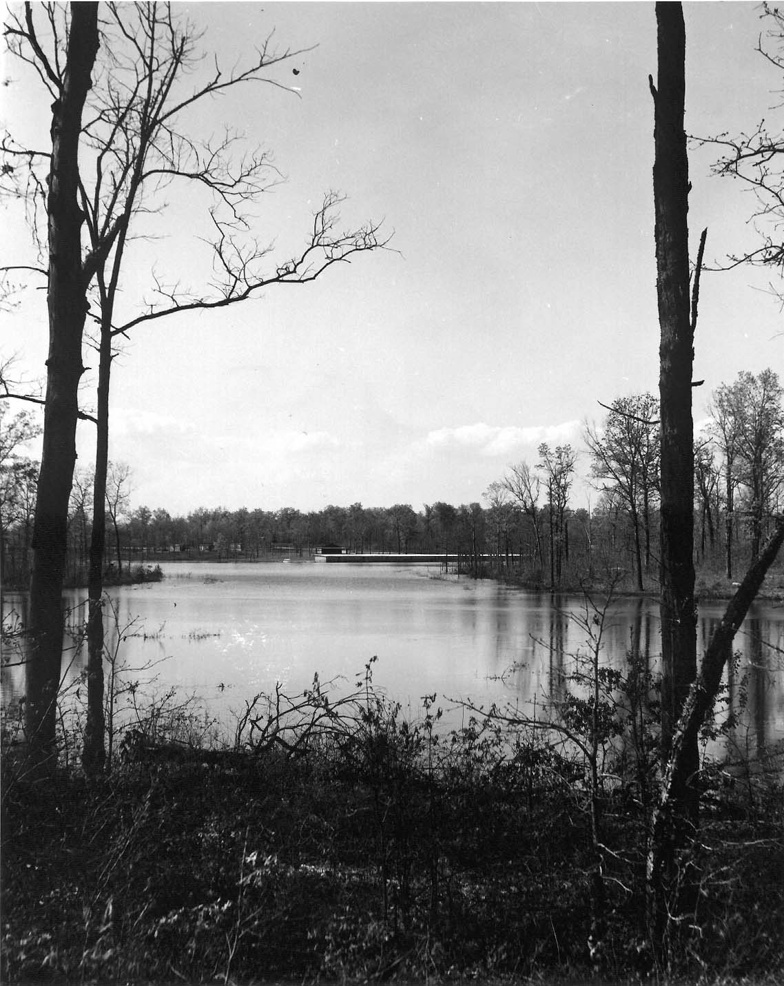 tennessee-state-library-and-archives-photograph-and-image-search